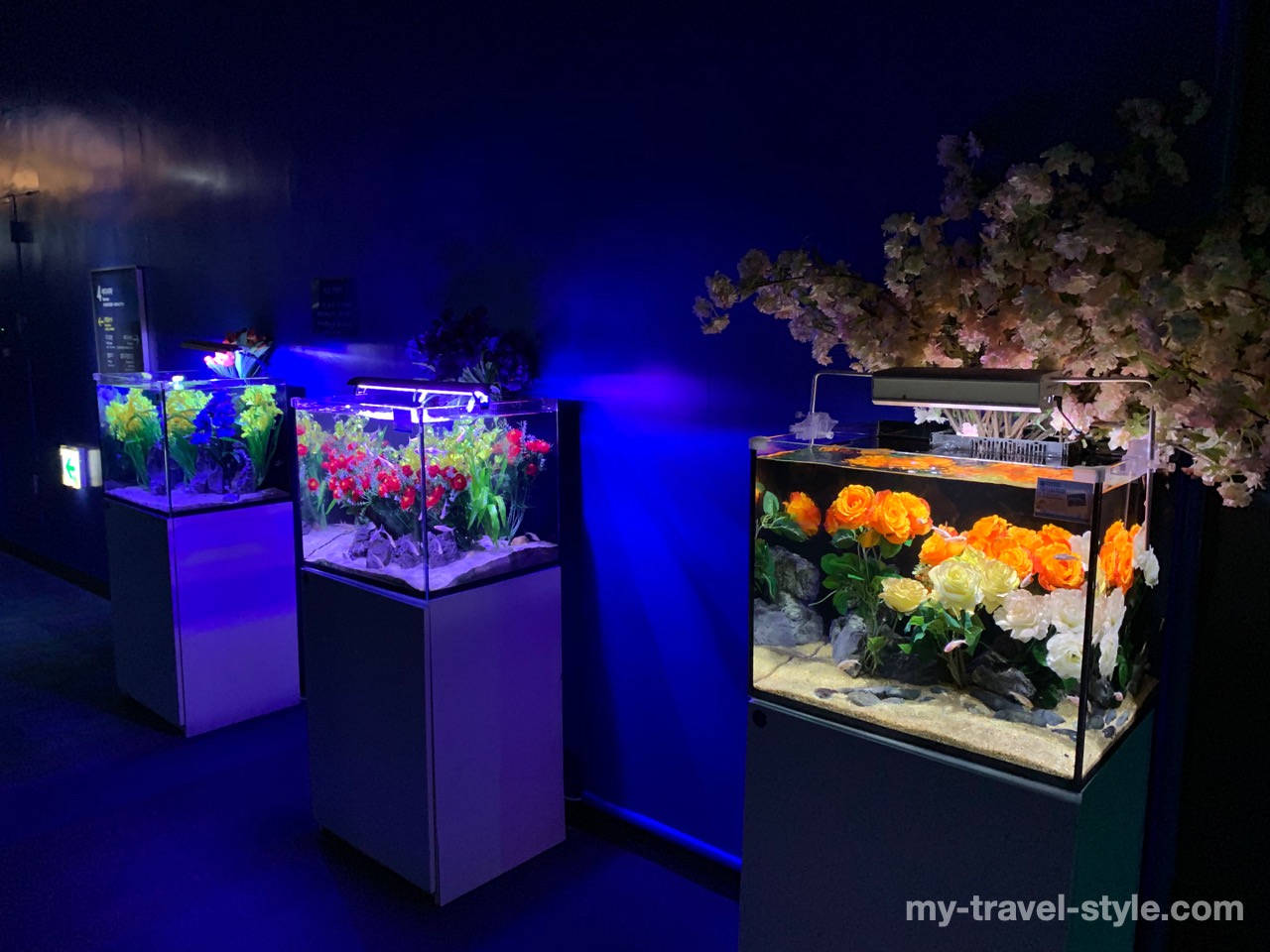 ロッテワールドアクアリウム(LOTTE WORLD AQUARIUM)