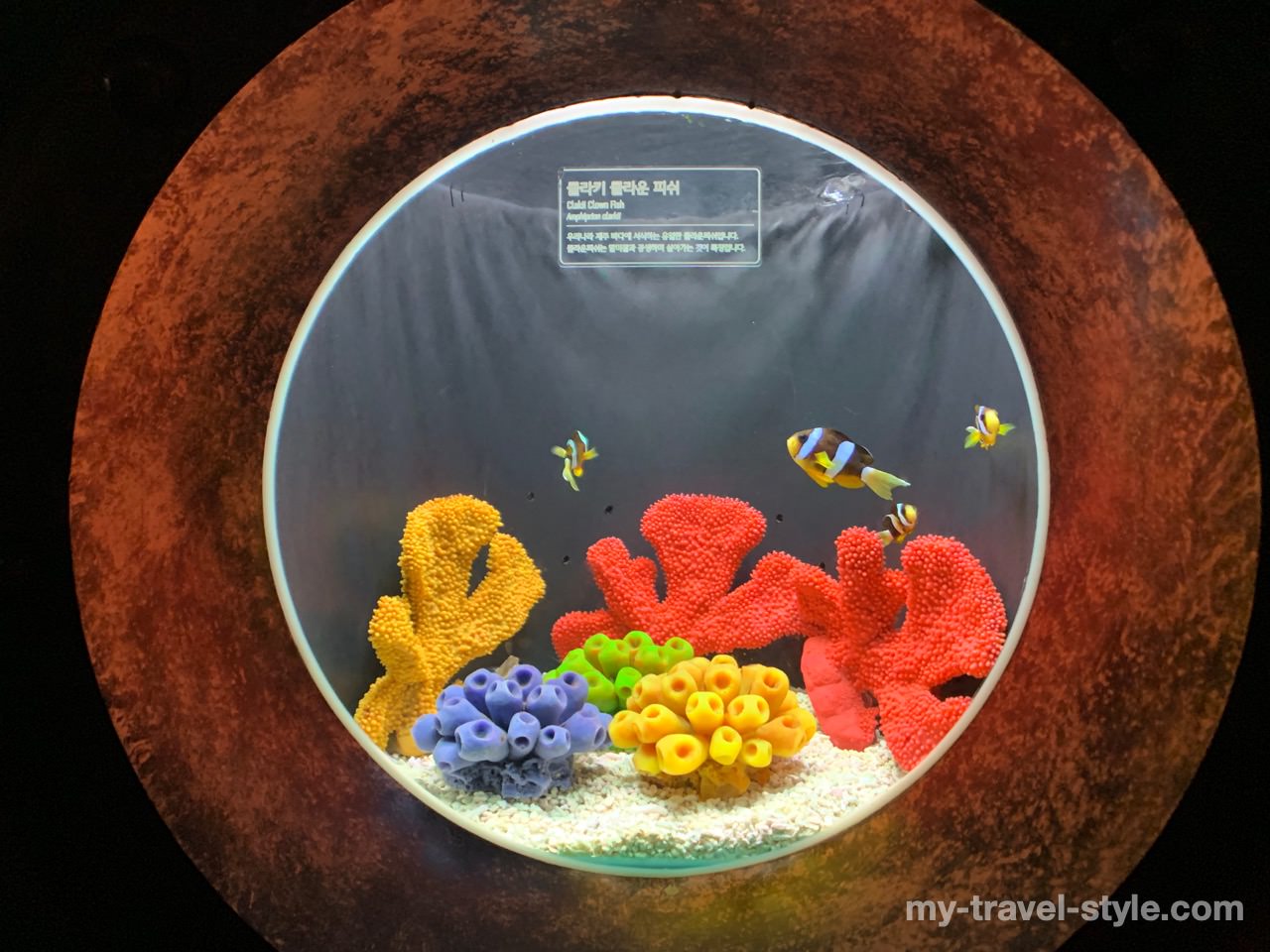 ロッテワールドアクアリウム(LOTTE WORLD AQUARIUM)