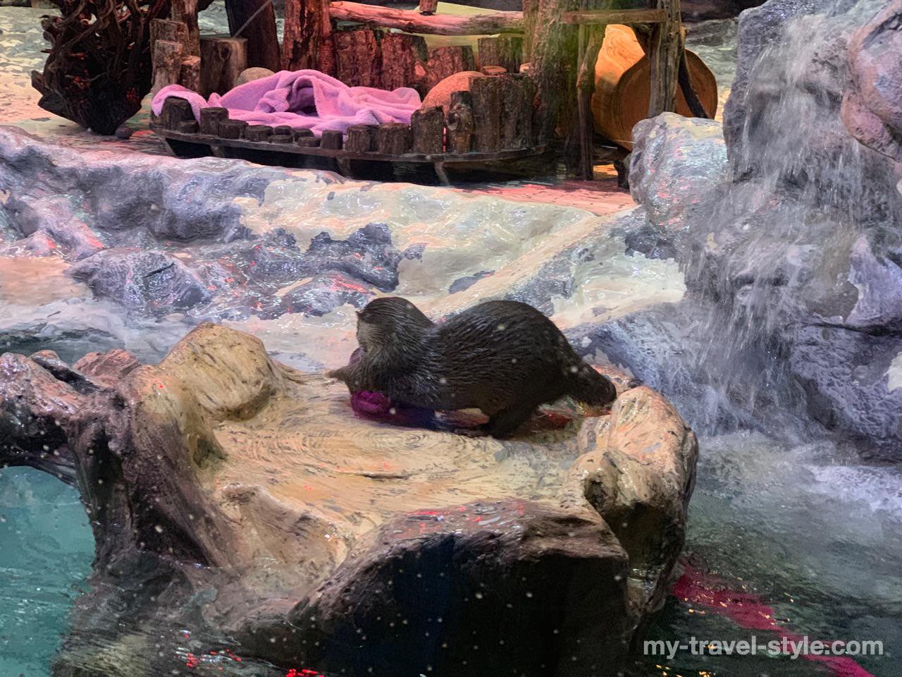 ロッテワールドアクアリウム(LOTTE WORLD AQUARIUM)
