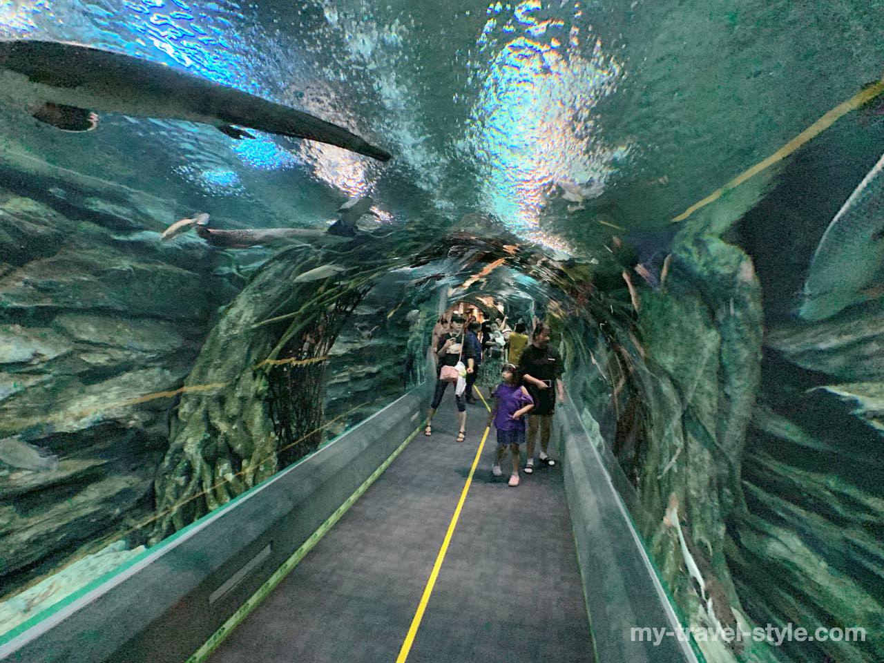 ロッテワールドアクアリウム(LOTTE WORLD AQUARIUM)