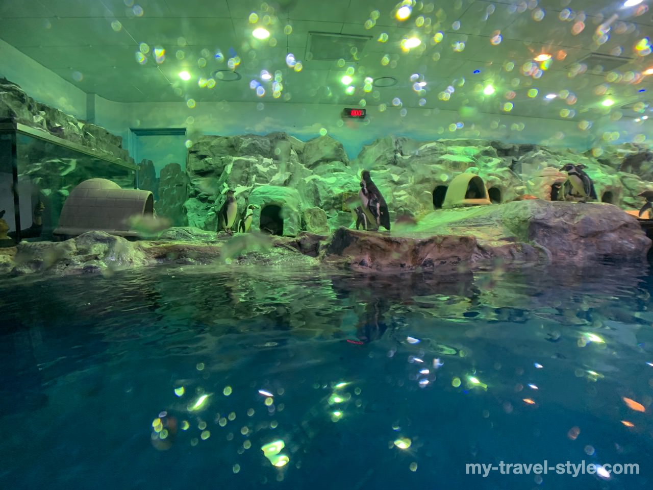 ロッテワールドアクアリウム(LOTTE WORLD AQUARIUM)