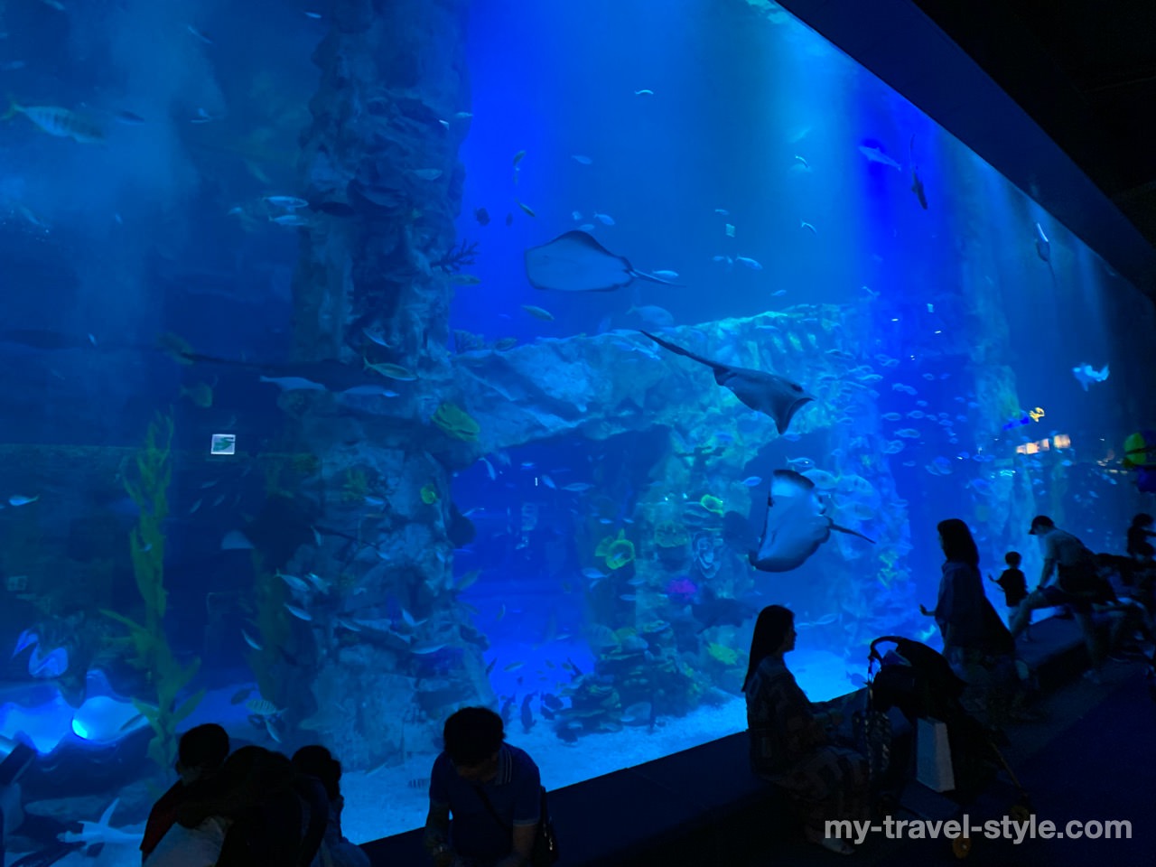 ロッテワールドアクアリウム(LOTTE WORLD AQUARIUM)