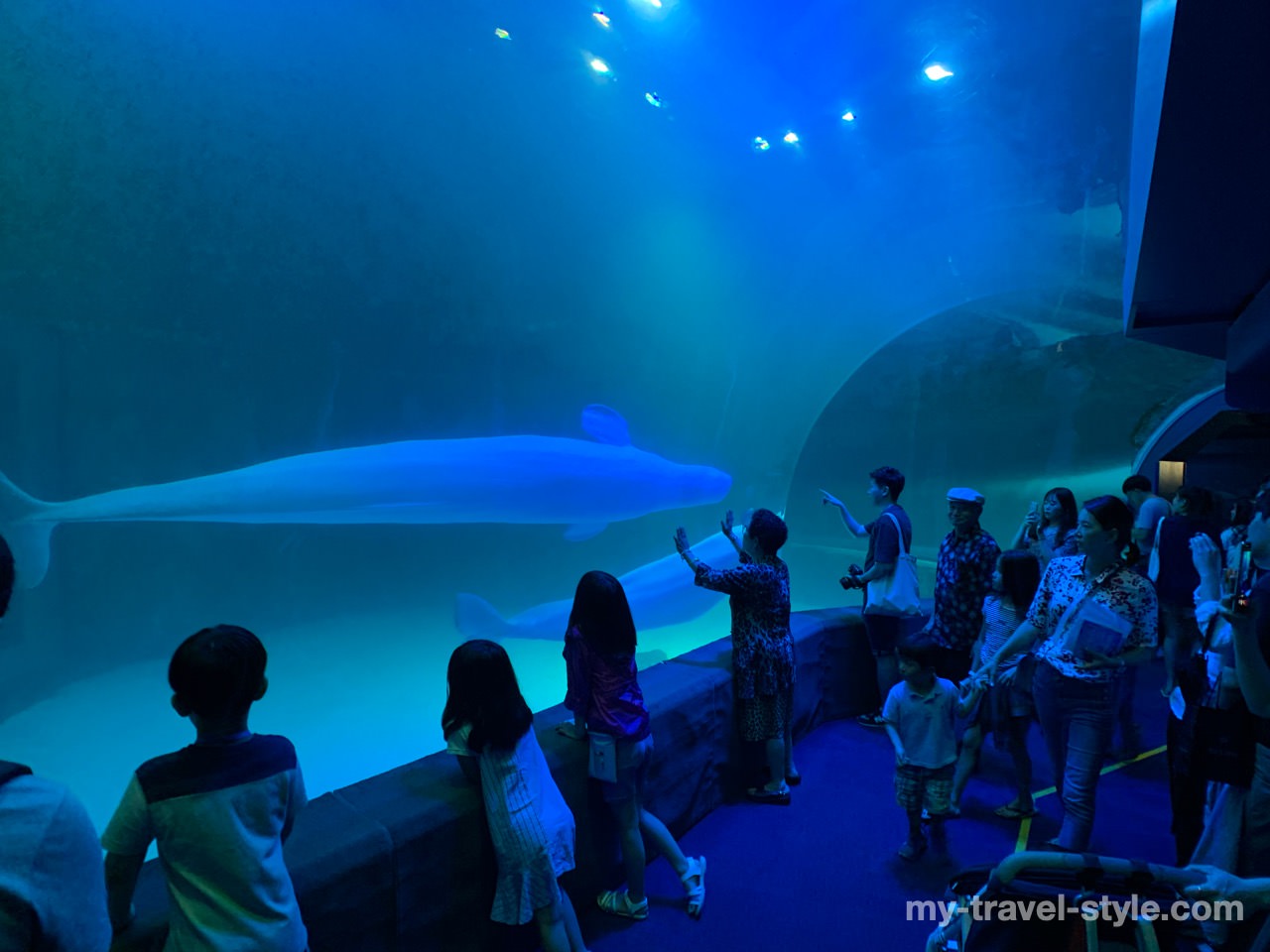 ロッテワールドアクアリウム(LOTTE WORLD AQUARIUM)