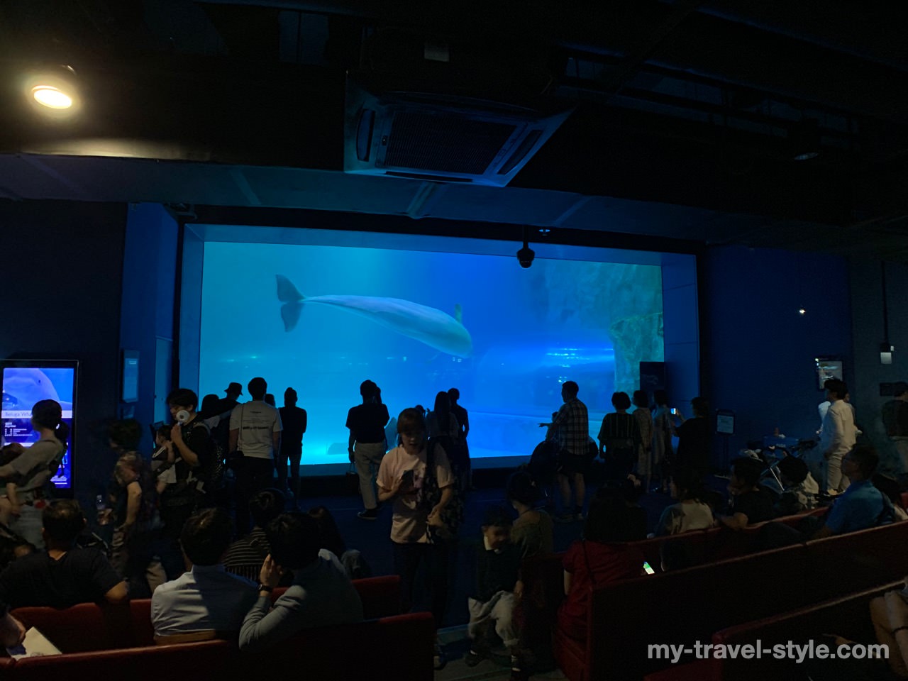 ロッテワールドアクアリウム(LOTTE WORLD AQUARIUM)